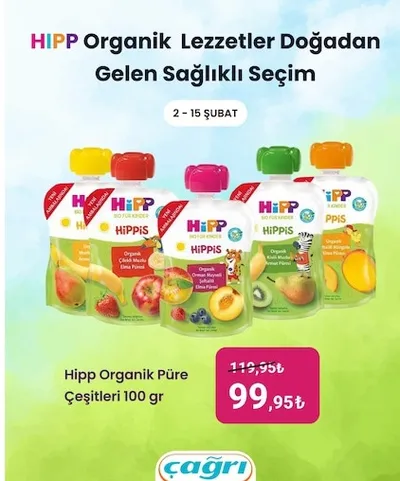 Hipp Organik Püre Çeşitleri 100 Gr