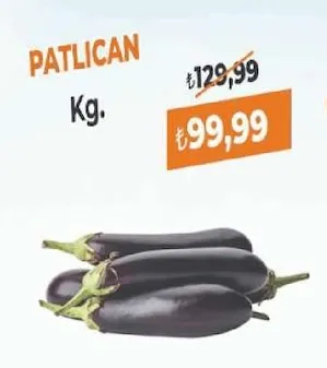 Patlican Kg.
