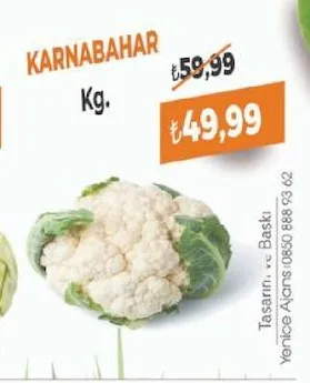 Karnabahar Kg.