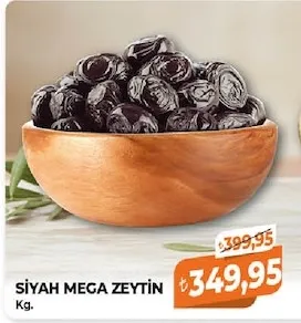 Si̇Yah Mega Zeyti̇N Kg.