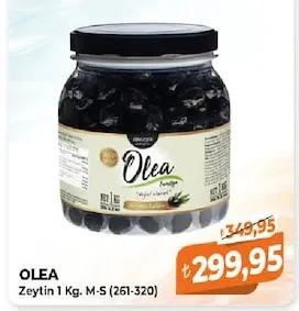 Olea Zeytin 1 Kg. M-S (261-320)
