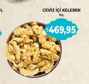 Cevi̇Z İçi̇ Kelebek Kg.