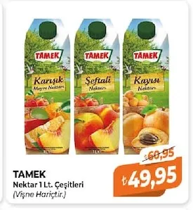 Tamek Nektar 1 Lt. Çeşitleri (Vişne Hariçtir.)