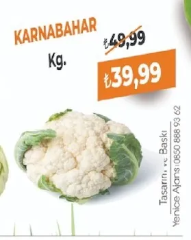 Karnabahar Kg