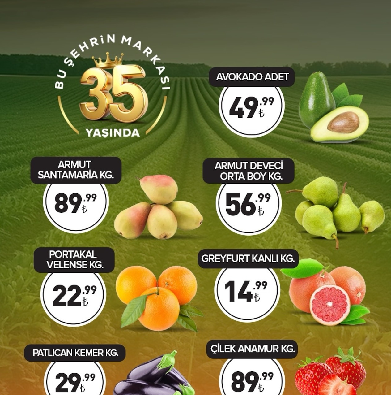 Armut Santamaria Kg.