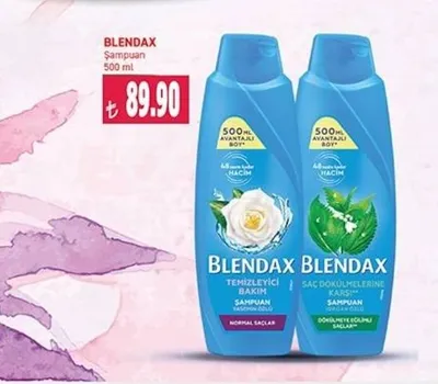 Blendax Şampuan 500 Ml