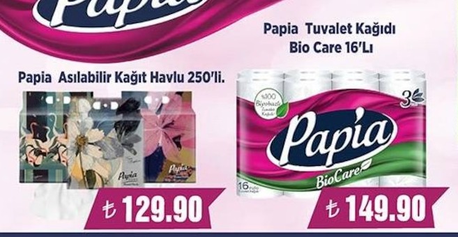 Papia Asılabilir Kağıt Havlu 250'Li