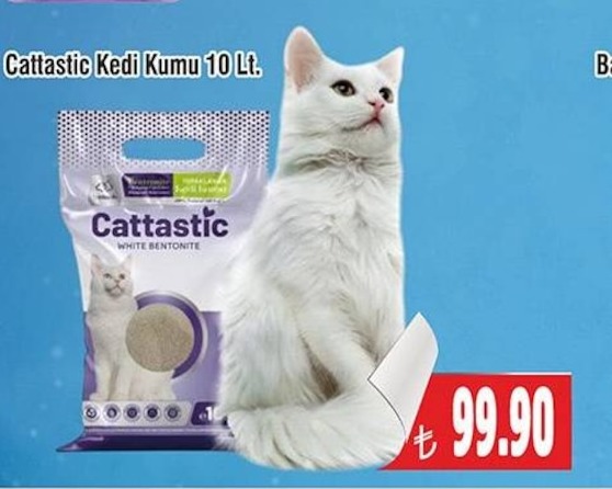 Cattastic Kedi Kumu 10 Lt