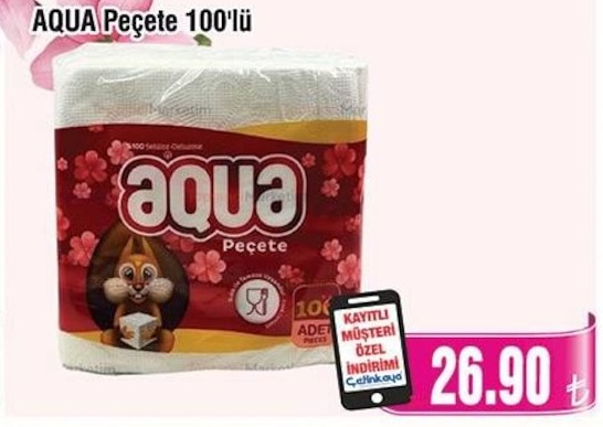 Aqua Peçete 100'Lü