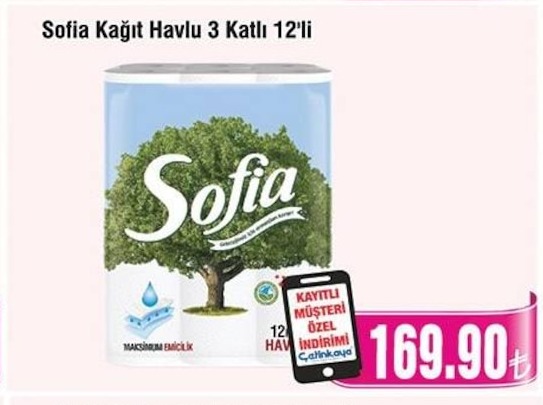 Sofia Kağıt Havlu 3 Katlı 12'Li