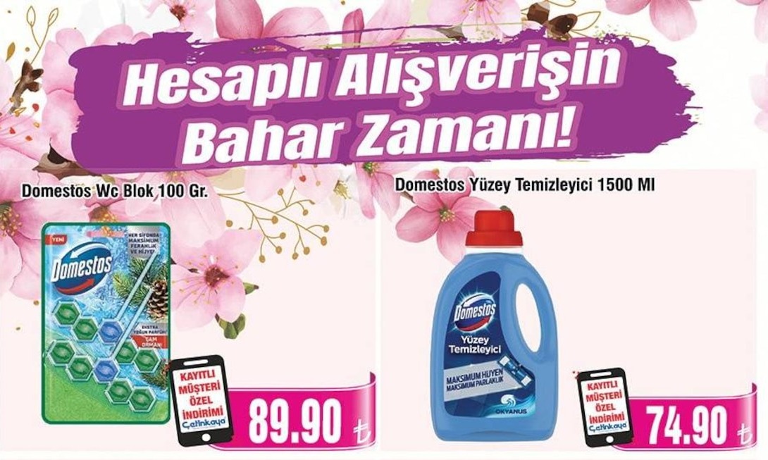 Domestos Wc Blok 100 Gr.