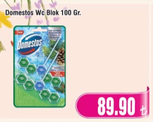 Domestos Wc Blok 100 Gr.