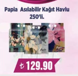 Papia Asılabilir Kağıt Havlu 250'Li