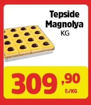 Tepside Magnolya Kg