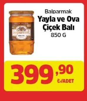 Balparmak Yayla Ve Ova Çiçek Balı 850 G
