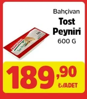Bahçıvan Tost Peyniri 600 G
