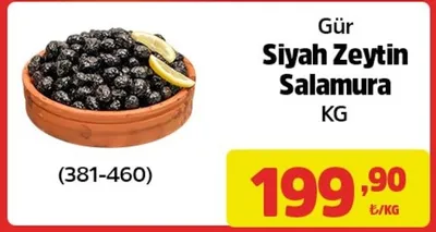 Gür Siyah Zeytin Salamura Kg (381-460)