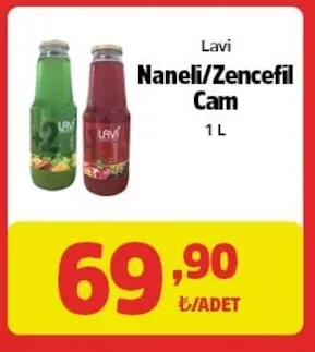 Lavi Naneli/Zencefil Cam 1 L