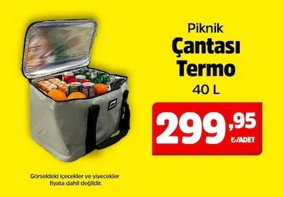 Piknik Çantası Termo 40 L