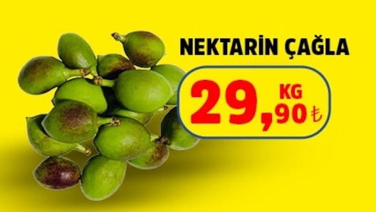Nektarin Çağla