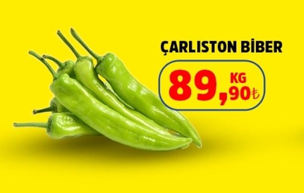 Çarliston Biber Kg