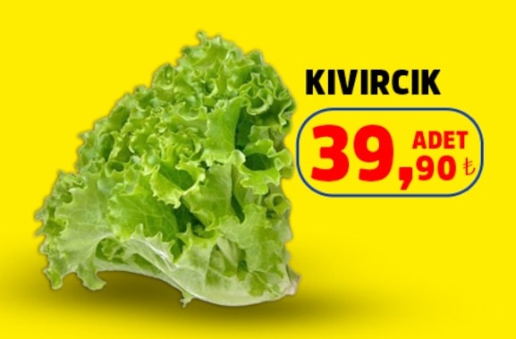 Kıvırcık 1Adet