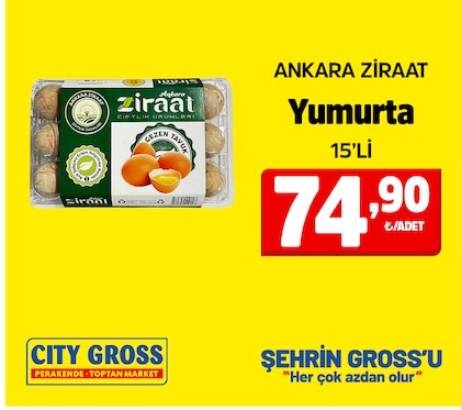 Ankara Ziraat Yumurta 15'Li