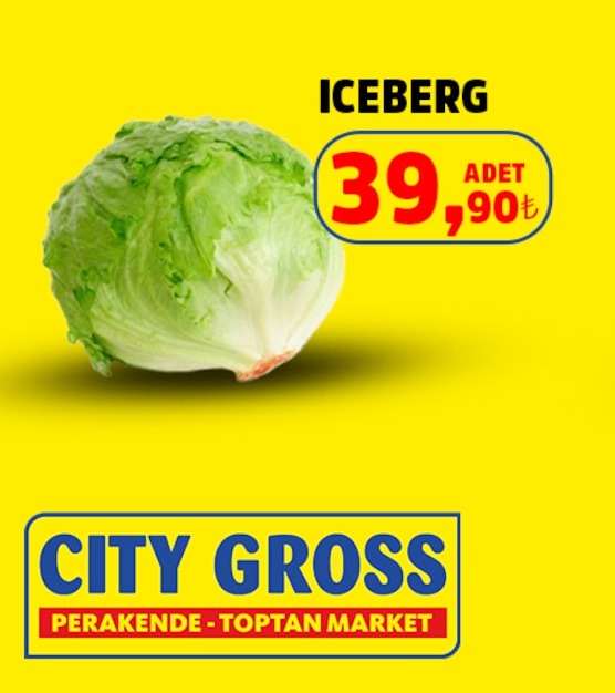 Iceberg 1 Adet