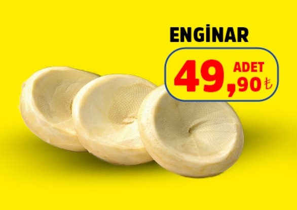 Enginar 49,90 Adet