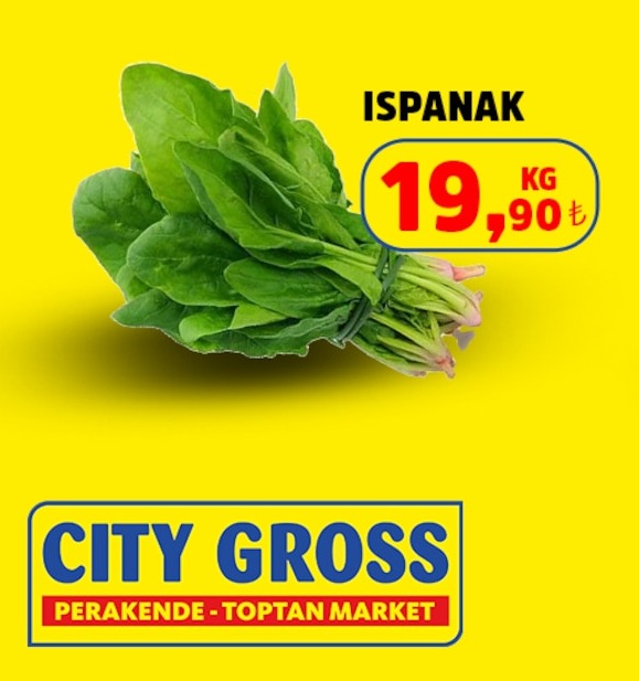 Ispanak 19,90 Kg