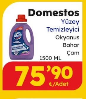 Domestos Yüzey Temizleyici Okyanus Bahar Çam 1500 Ml