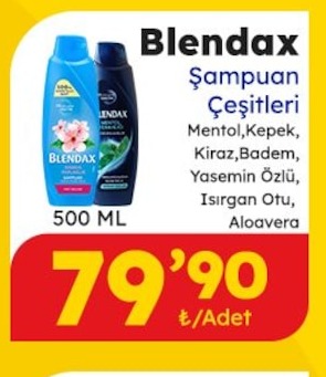 Blendax Şampuan Çeşitleri Mentol, Kepek, Kiraz, Badem, Yasemin Özlü, Isırgan Otu, Aloavera 500 Ml