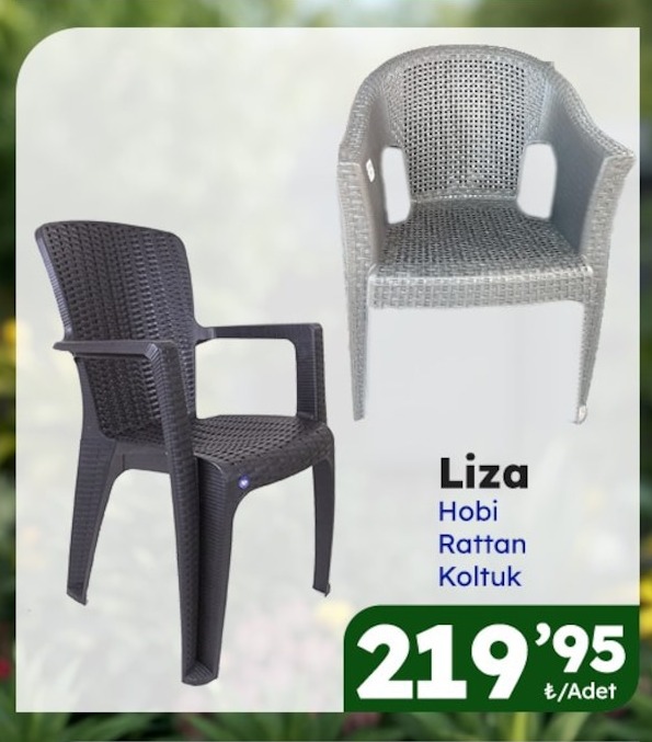 Liza
Hobi
Rattan
Koltuk