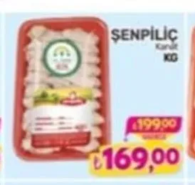 Şenpi̇Li̇Ç Kanat Kg