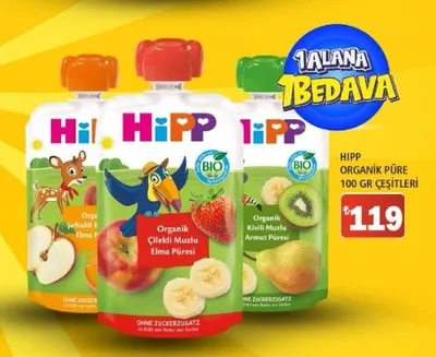 Hipp Organik Püre 100 Gr Çeşitleri