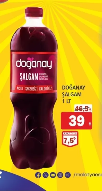 Doğanay Şalgam 1 Lt