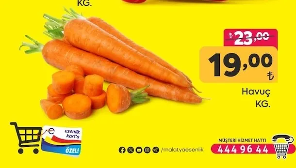 Biber Çarlston Sivri Kg.