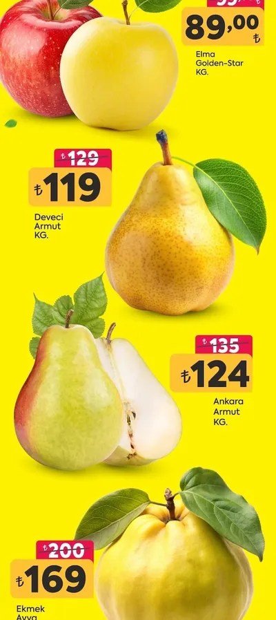 Elma Golden-Star Kg.