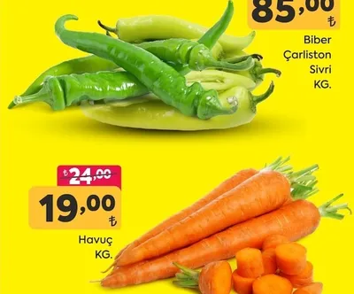 Biber Çarlston Sivri Kg.