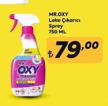 Mr.Oxy Leke Çıkarıcı Sprey 750 Ml