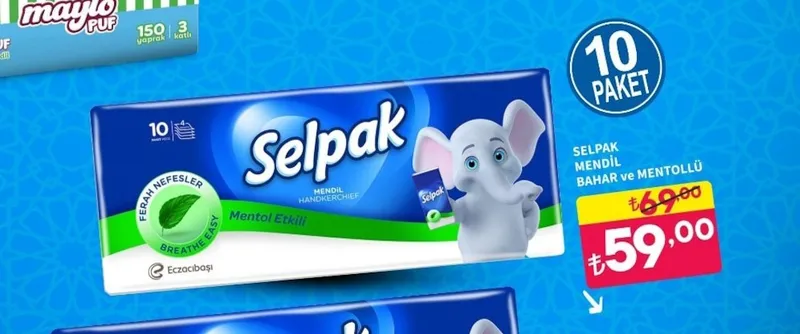Selpak Mendil Bahar Ve Mentollü 10 Paket