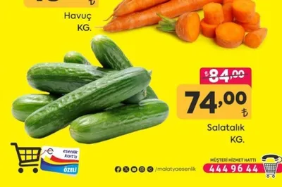 Salatalık Kg