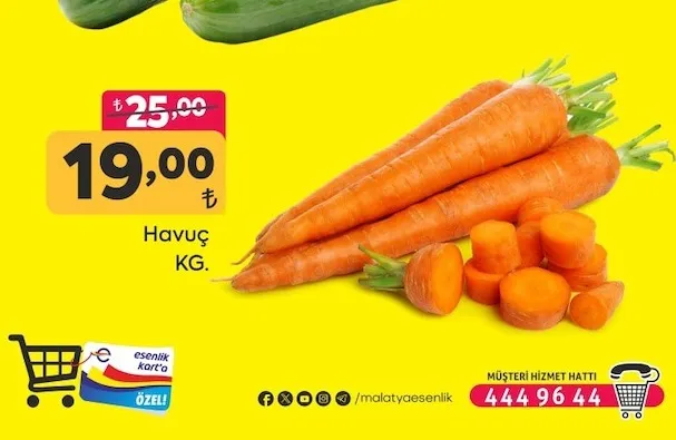Havuç Kg.