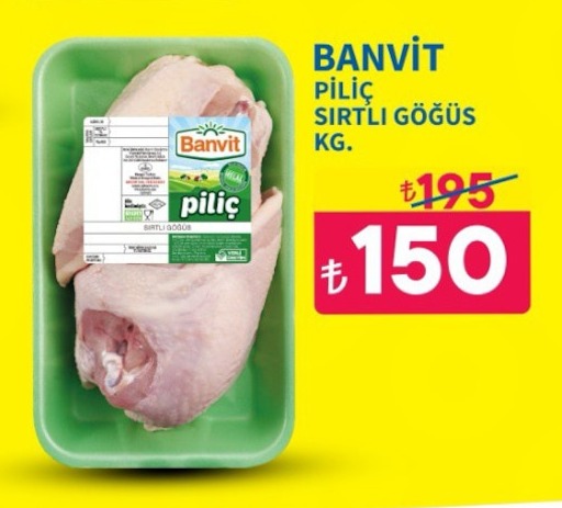Banvit Piliç Sırtlı Göğüs Kg.