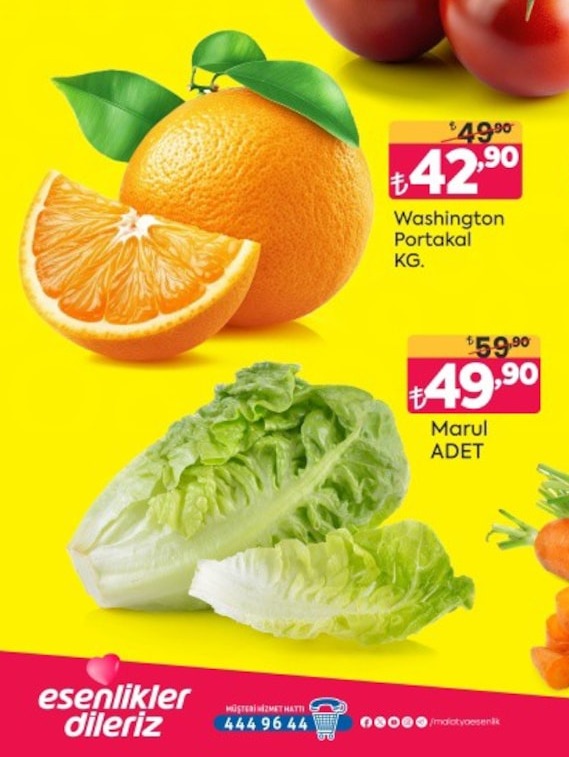 Washington Portakal Kg.