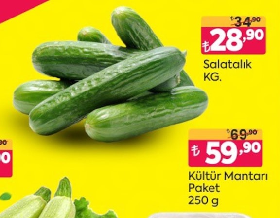 Salatalık Kg.