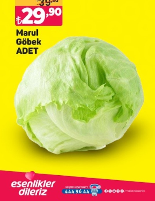 Marul Göbek Adet