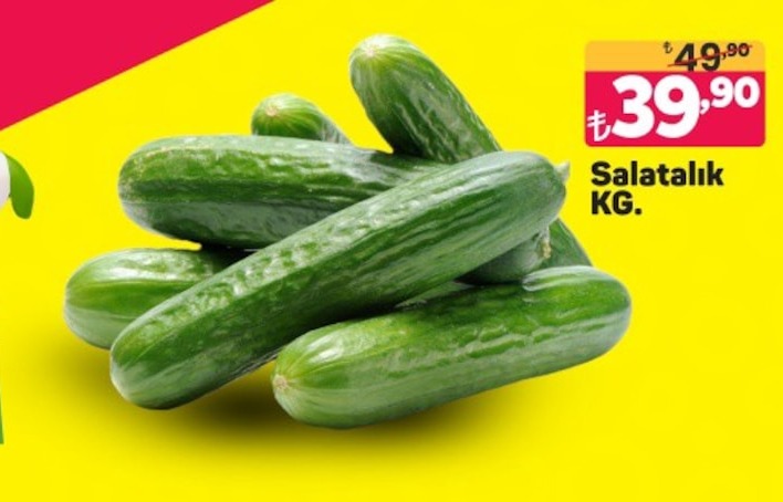 Salatalık Kg.