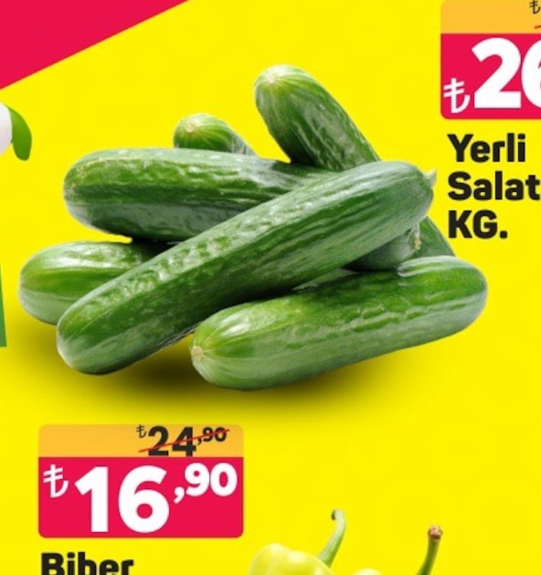 Yerli Salatalık Kg.