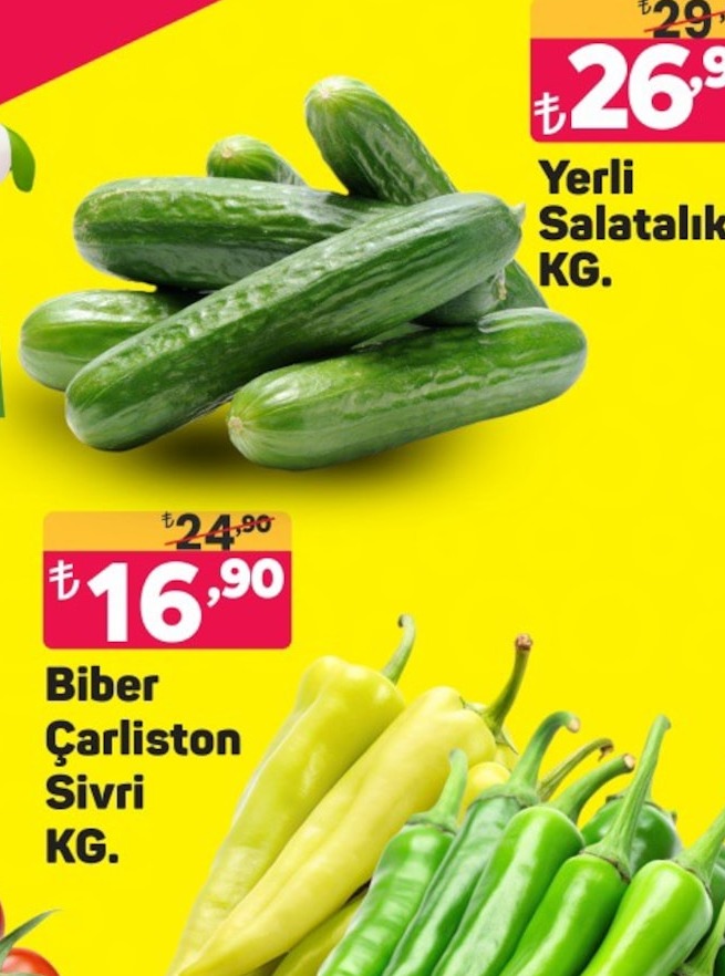 Biber Çarliston Sivri Kg.